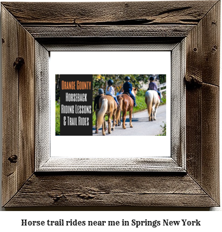 horse trail rides near me in Springs, New York